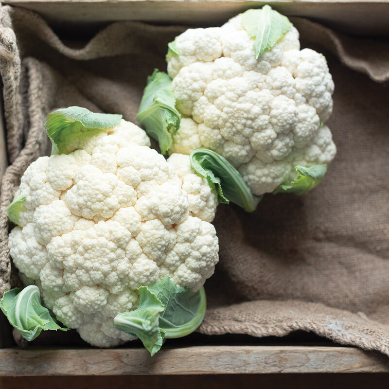 PREORDER:‎‎ Veg Plant:‎‎ Cauliflower & Romanesco Seedlings