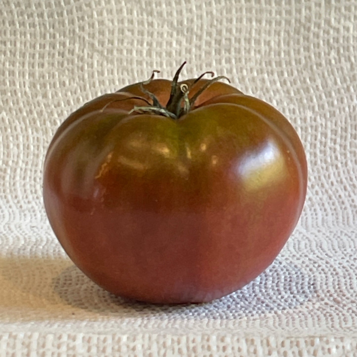 PREORDER:‎‎ Veg Plant:‎‎ Tomato - Tried & True collection