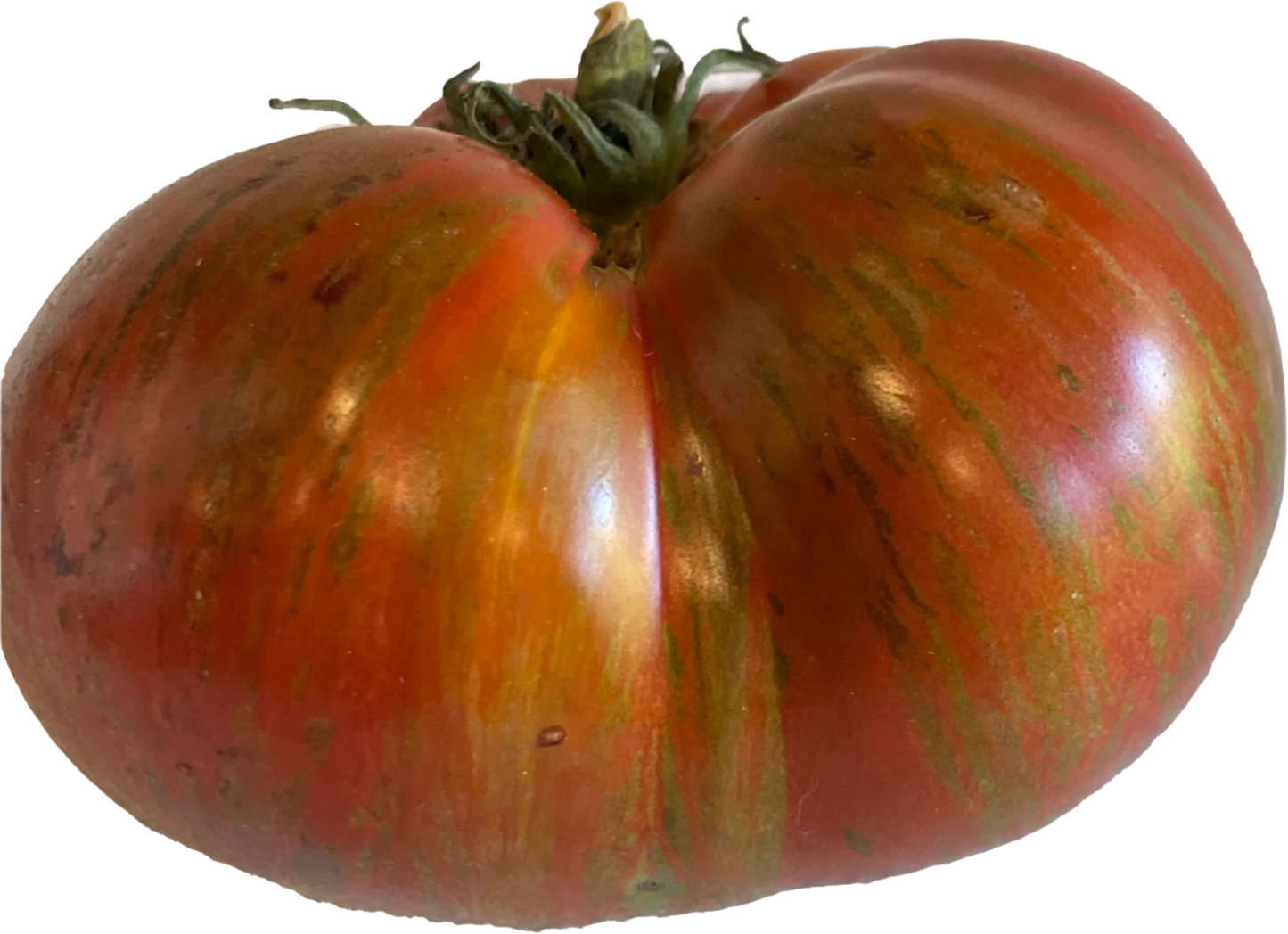 PREORDER:‎‎ Veg Plant:‎‎ Tomato - Tried & True collection