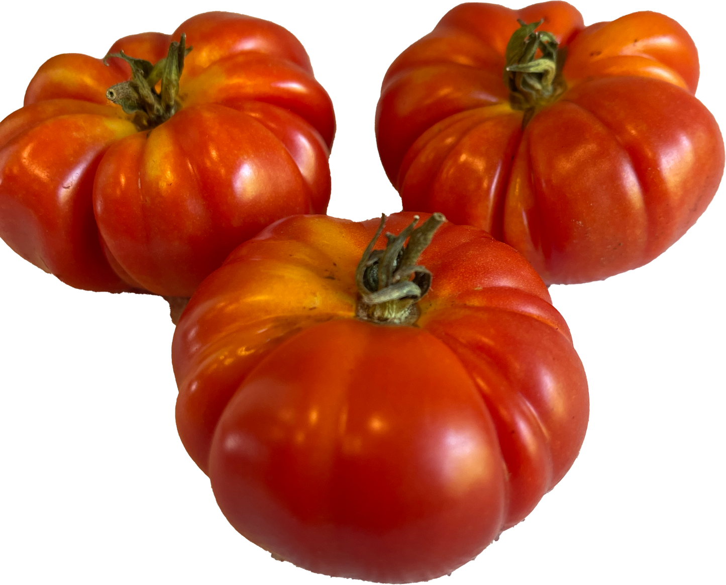 PREORDER:‎‎ Veg Plant:‎‎ Tomato - Tried & True collection