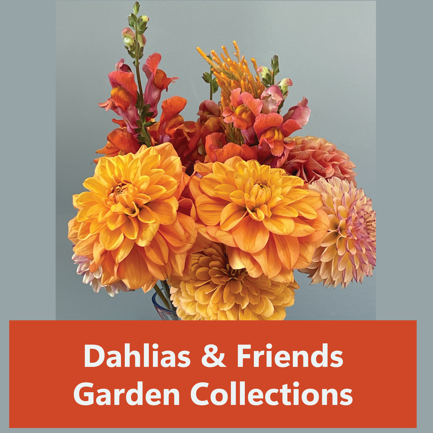 PREORDER: Flower Garden Collection: Dahlias & Friends