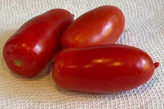 Seeds:‎‎ Tomato - Oroma (paste)