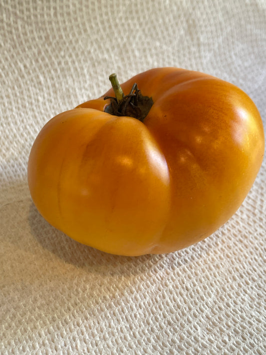 Seeds:‎ Tomato - Persimmon