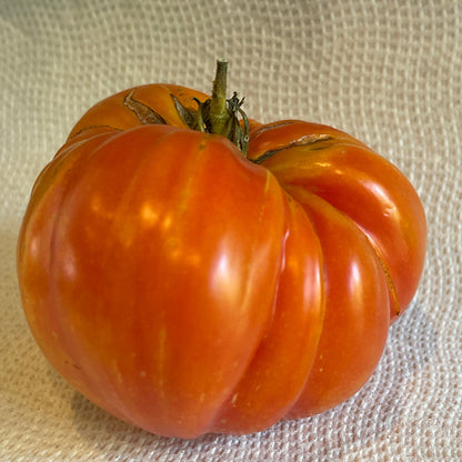 PREORDER:‎‎ Veg Plant:‎‎ Tomato - Tried & True collection