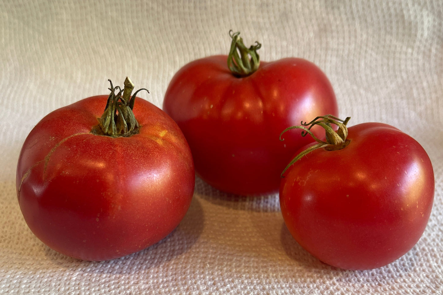 Seeds:‎‎ Tomato - Rose de Berne