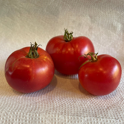 PREORDER:‎‎ Veg Plant:‎‎ Tomato - Tried & True collection