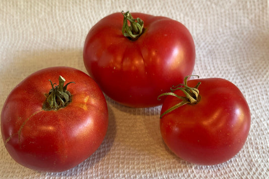 Seeds:‎‎ Tomato - Rose de Berne