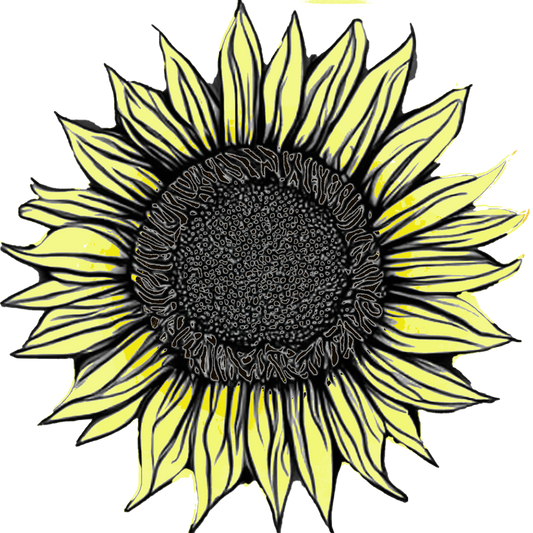 Seeds:‎ Sunflower - Premier Series Light Yellow