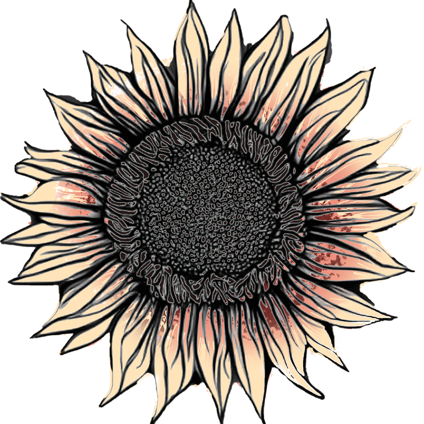 Seeds:‎ Sunflower - ProCut® Plum (F1)