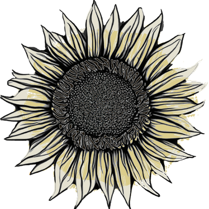 Seeds:‎ Sunflower - ProCut® White Nite (F1)