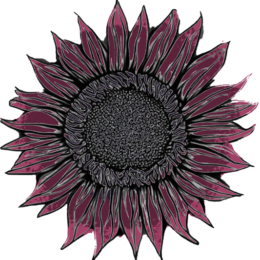 Seeds:‎ Sunflower - ProCut® Red (F1)