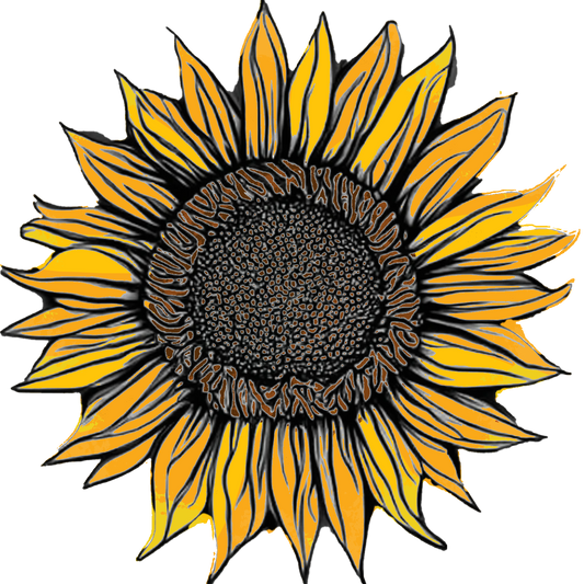 Seeds:‎ Sunflower - Sonja