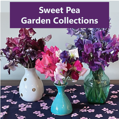 PREORDER:‎ Flower Garden Collection:‎ Sweet Peas