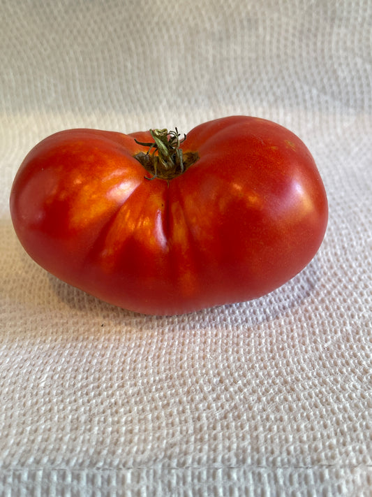 Seeds:‎ Tomato - Sweet Scarlet