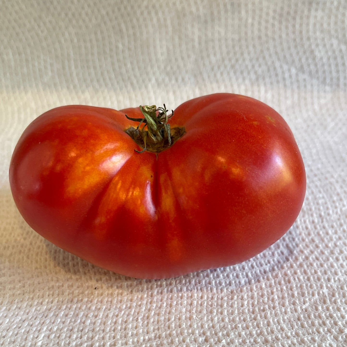 PREORDER:‎‎ Veg Plant:‎‎ Tomato - Tried & True collection