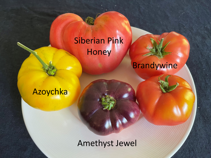 Seeds:‎ Tomato - Siberian Pink Honey