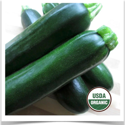 PREORDER:‎ Veg Plant:‎ Zucchini seedlings