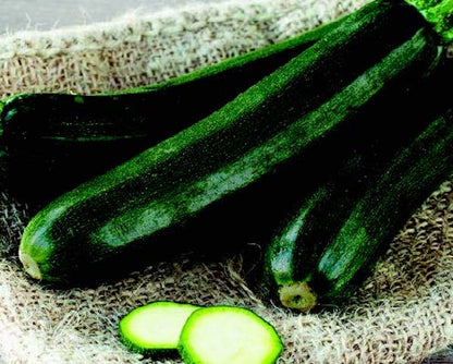 PREORDER:‎ Veg Plant:‎ Zucchini seedlings